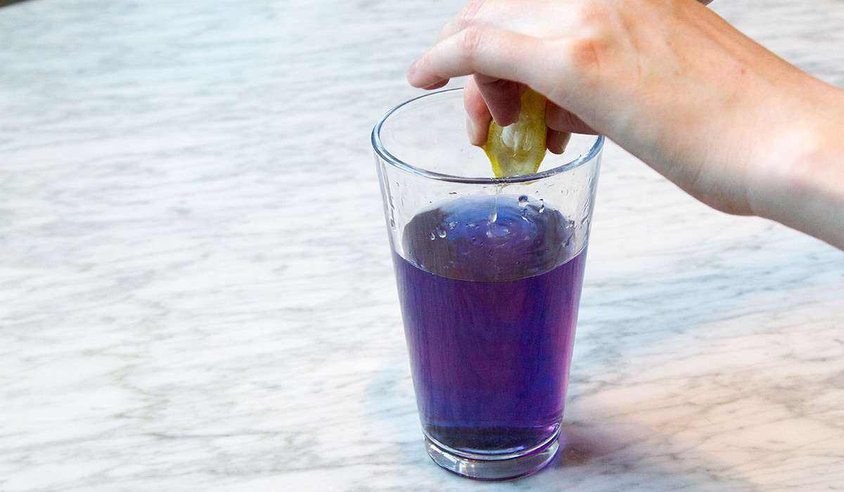 Butterfly Blue Pea Flowers - Herbal