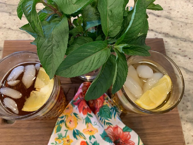 2024 National Iced Tea Day & How to Make Iced Tea