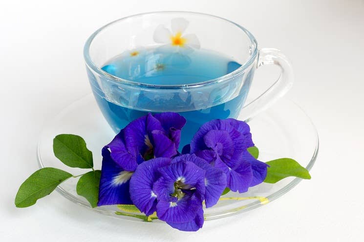 Butterfly Blue Pea Flowers - Herbal