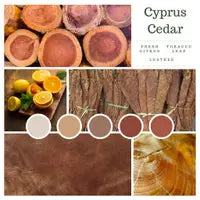 products/CyprusCedar4.webp