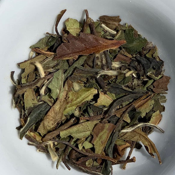 Sakura Cherry Rose White