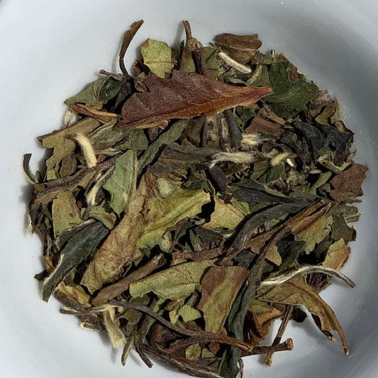 Sakura Cherry Rose White